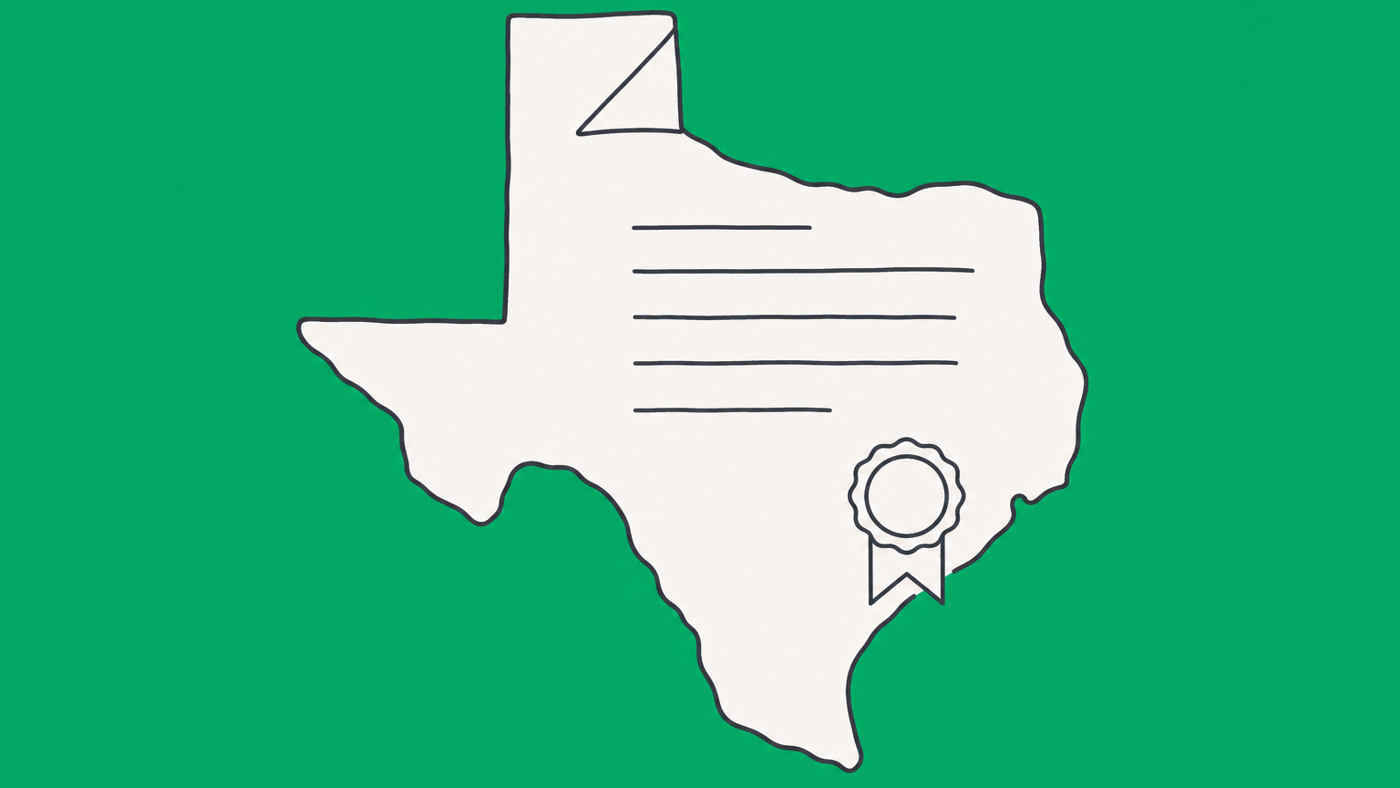 Flat illustration of a document inside a Texas outline, representing Texas Form 205