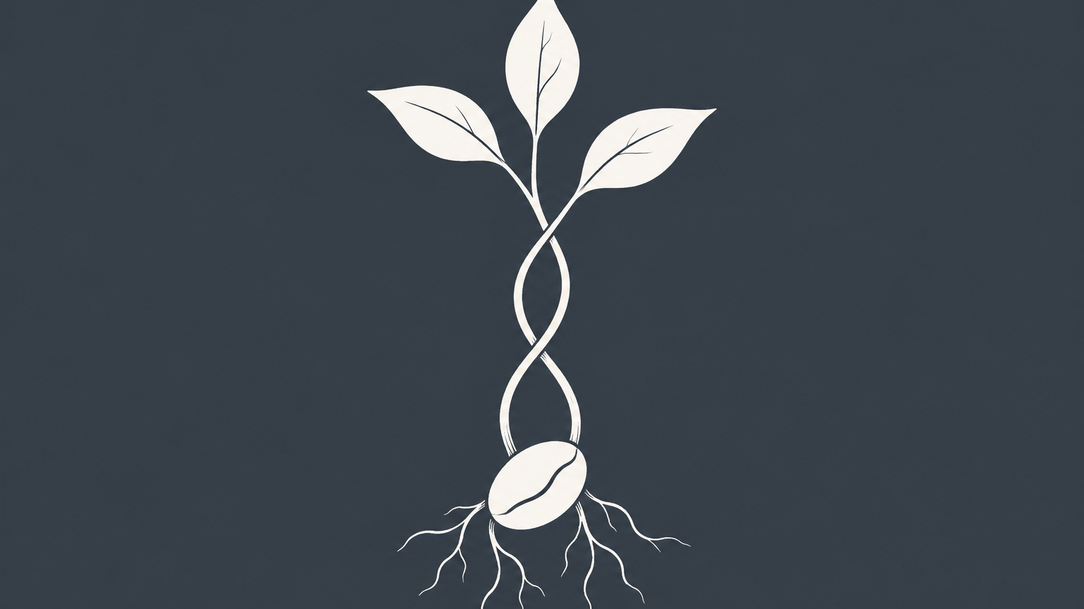 Flat illustration of one seed growing into two intertwined stems to represent founder and co-founder roles.