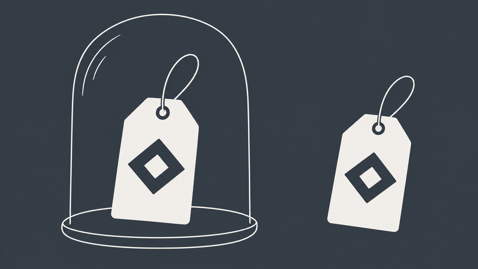 Flat illustration of a distinctive product tag inside a transparent protective boundary representing trademark law and brand protection.